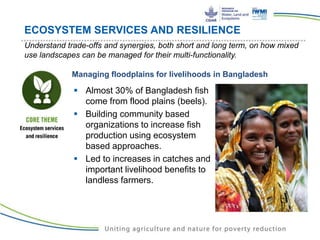Water Land and Ecosystems (WLE): Building resilience in food production ...