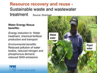 Water Land and Ecosystems (WLE): Building resilience in food production ...
