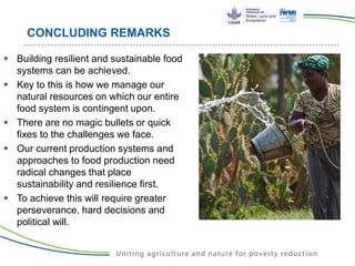 Water Land and Ecosystems (WLE): Building resilience in food production ...