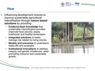Water Land and Ecosystems (WLE): Building resilience in food production ...