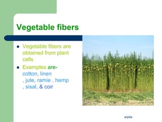 arpita
Vegetable fibers
 Vegetable fibers are
obtained from plant
cells
 Examples are-
cotton, linen
, jute, ramie , hemp
, sisal, & coir
 