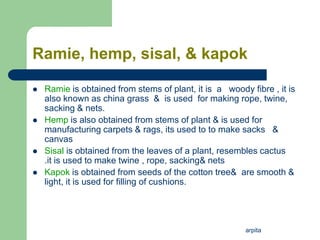 arpita
Ramie, hemp, sisal, & kapok
 Ramie is obtained from stems of plant, it is a woody fibre , it is
also known as china grass & is used for making rope, twine,
sacking & nets.
 Hemp is also obtained from stems of plant & is used for
manufacturing carpets & rags, its used to to make sacks &
canvas
 Sisal is obtained from the leaves of a plant, resembles cactus
.it is used to make twine , rope, sacking& nets
 Kapok is obtained from seeds of the cotton tree& are smooth &
light, it is used for filling of cushions.
 
