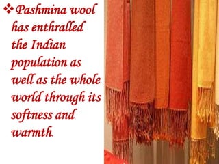 Pashmina wool
 has enthralled
 the Indian
 population as
 well as the whole
 world through its
 softness and
 warmth.
 