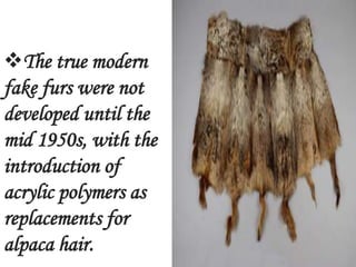 The true modern
fake furs were not
developed until the
mid 1950s, with the
introduction of
acrylic polymers as
replacements for
alpaca hair.
 