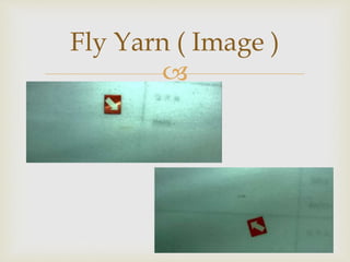 
Fly Yarn ( Image )
 