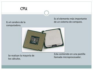 CPU
Es el elemento más importante
de un sistema de computo.
Esta contenido en una pastilla
llamada microprocesador.
Es el cerebro de la
computadora.
Se realizan la mayoría de
los cálculos.