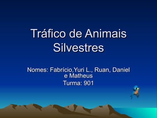 Tráfico de Animais Silvestres Nomes: Fabrício,Yuri L., Ruan, Daniel e Matheus Turma: 901 