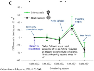 Cross-scale	governance	linkages	are	
crucial	
Community		
conserva2on	begins	
News	spreads	
“What	followed	was	a	rapid	
cascading	eﬀect	on	ﬁshing	resources	
and	locally-designed	rule	compliance.	
The	island	quickly	became	a	free	for	
all”	
Free	for	all	
Poaching	
begins	
Cudney-Bueno	&	Basurto.	2009.	PLOS	ONE.	
 