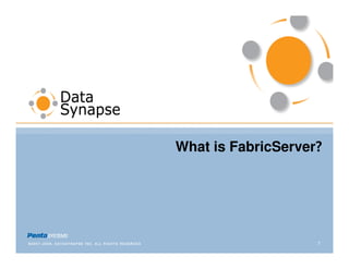 What is FabricServer?




                    7
 