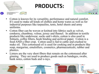 PRODUCTS:
• Cotton is known for its versatility, performance and natural comfort.
It’s used to make all kinds of clothes and home wares as well as for
industrial purposes like tarpaulins, tents, hotel sheets and army
uniforms.
• Cotton fiber can be woven or knitted into fabrics such as velvet,
corduroy, chambray, velour, jersey and flannel. In addition to textile
products like underwear, socks and t-shirts, cotton is also used in
fishnets, coffee filters, book binding and archival paper. Cotton is a
food AND a fiber crop. Cotton seed is fed to cattle and crushed to
make oil. This cottonseed oil is used for cooking and in products like
soap, margarine, emulsifiers, cosmetics, pharmaceuticals, rubber and
plastics.
• Linters are the very short fibers that remain on the cottonseed after
ginning. They are used to produce goods such as bandages, swabs,
bank notes, cotton buds and x-rays.
 