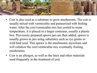 • Coir is also used as a substrate to grow mushrooms. The coir is
usually mixed with vermiculite and pasteurized with boiling
water. After the coir/vermiculite mix has cooled to room
temperature, it is placed in a larger container, usually a plastic
box. Previously prepared spawn jars are then added, spawn is
usually grown in jars using substrates such as rye grains or
wild bird seed. This spawn is the mushrooms mycelium and
will colonize the coir/vermiculite mix eventually fruiting
mushrooms.
• Coir is an allergen, as well as the latex and other materials
used frequently in the treatment of coir.
 