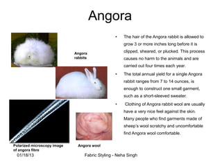 Uncomfrtable Rabbit Fabric studies final | PPT