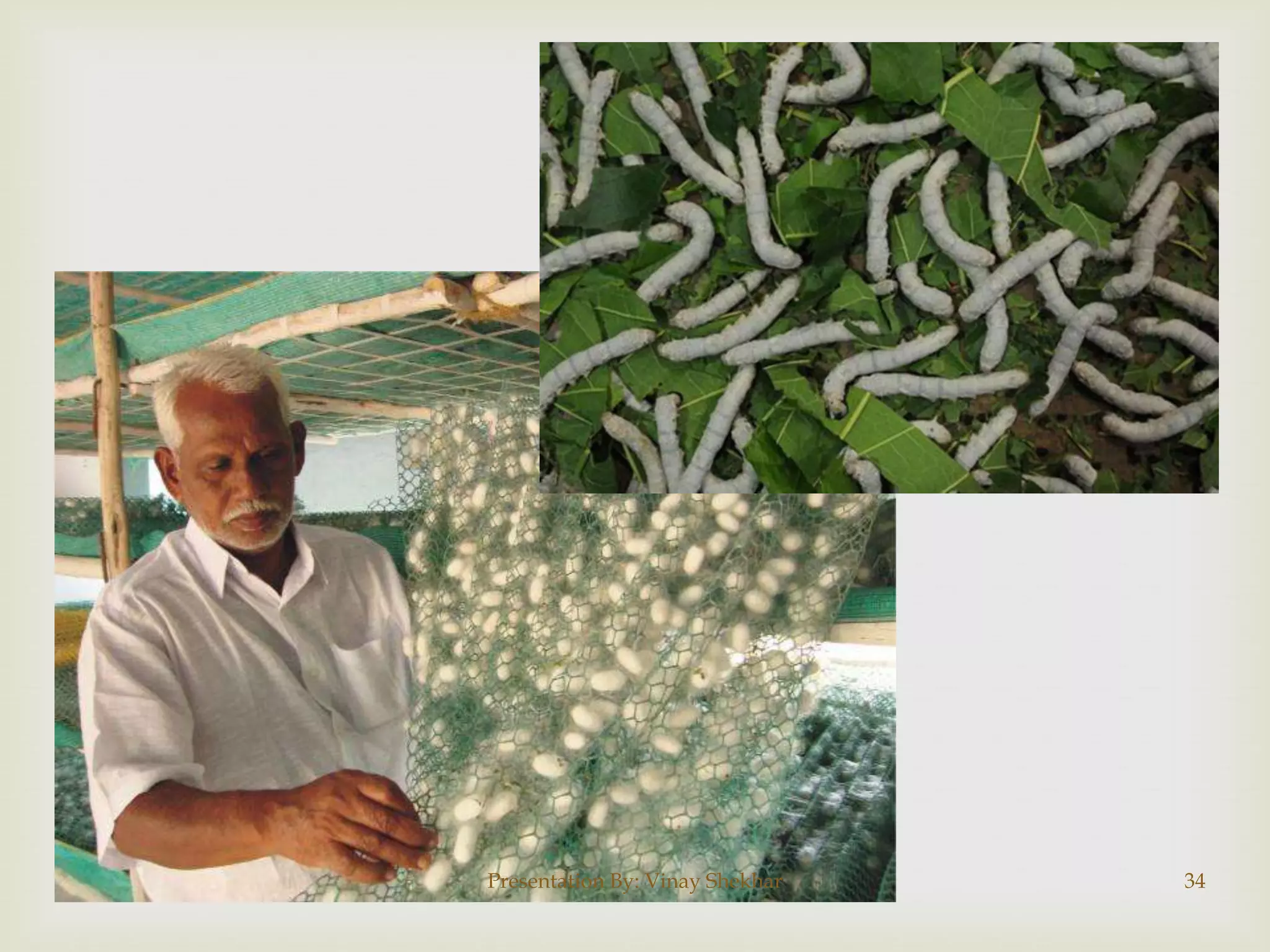 Presentation By: Vinay Shekhar

34

 