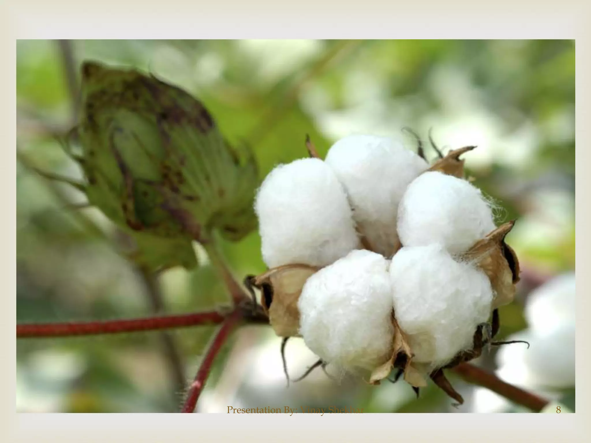 Presentation By: Vinay Shekhar

8

 