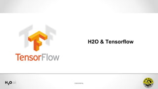 H2O & Tensorflow - Fabrizio 