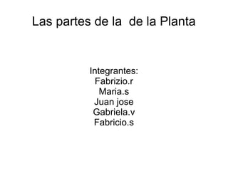 Las partes de la de la Planta


          Integrantes:
            Fabrizio.r
             Maria.s
           Juan jose
           Gabriela.v
           Fabricio.s
 