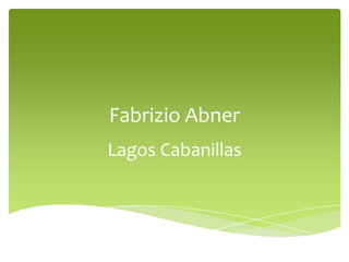 Fabrizio Abner
Lagos Cabanillas
 