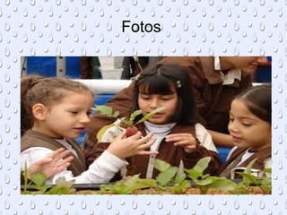 Fotos
 