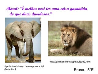 Moral: “É melhor você ter uma coisa garantida
do que duas duvidosas.”
http://sotaodaines.chrome.pt/sotao/el
efante.html
http://animais.com.sapo.pt/leao2.html
Bruna - 5°E
 