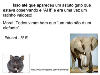 Isso até que apareceu um astuto gato que
estava observando e “AH!” e era uma vez um
ratinho vaidoso!
Moral: Todos viram bem que “um rato não é um
elefante”.
Eduard - 5º E
http://www.infoescola.com/mamiferos/
 