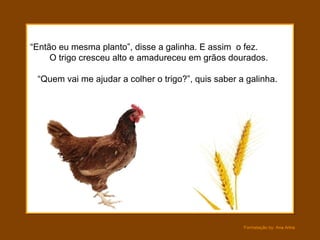“ Então eu mesma planto”, disse a galinha. E assim  o fez.  O trigo cresceu alto e amadureceu em grãos dourados.  “Quem vai me ajudar a colher o trigo?”, quis saber a galinha. 