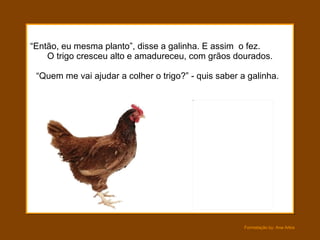 “ Então, eu mesma planto”, disse a galinha. E assim  o fez.  O trigo cresceu alto e amadureceu, com grãos dourados.  “Quem me vai ajudar a colher o trigo?” - quis saber a galinha. 