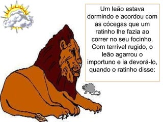 Um leão estava dormindo e acordou com as cócegas que um ratinho lhe fazia ao correr no seu focinho. Com terrível rugido, o leão agarrou o importuno e ia devorá-lo, quando o ratinho disse: 