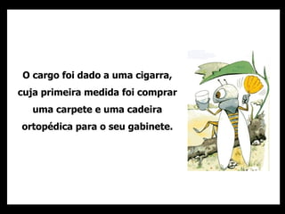O cargo foi dado a uma cigarra, cuja primeira medida foi comprar uma carpete e uma cadeira ortopédica para o seu gabinete. 
