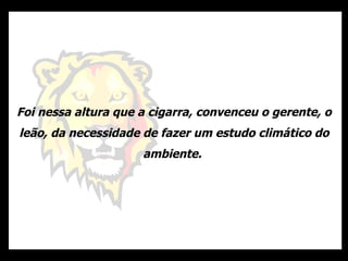 Foi nessa altura que a cigarra, convenceu o gerente, o leão, da necessidade de fazer um estudo climático do ambiente.  