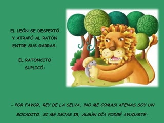 EL LEÓN SE DESPERTÓ
Y ATRAPÓ AL RATÓN
ENTRE SUS GARRAS.
EL RATONCITO
SUPLICÓ:
- POR FAVOR, REY DE LA SELVA, ¡NO ME COMAS! APENAS SOY UN
BOCADITO. SI ME DEJAS IR, ALGÚN DÍA PODRÉ AYUDARTE-
 