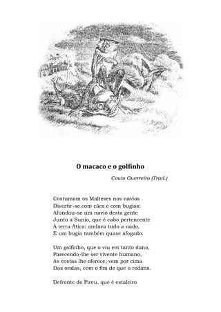 O macaco e o golfinho
Couto Guerreiro (Trad.)
Costumam os Malteses nos navios
Divertir-se com cães e com bugios:
Afundou-se um navio desta gente
Junto a Sunio, que é cabo pertencente
À terra Ática: andava tudo a nado,
E um bugio também quase afogado.
Um golfinho, que o viu em tanto dano,
Parecendo-lhe ser vivente humano,
As costas lhe oferece; vem por cima
Das ondas, com o fim de que o redima.
Defronte do Pireu, que é estaleiro
 