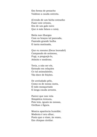 Em forma de penacho
Vaidoso a cauda ostenta.
(Crendo de um bicho estranho
Fazer este retrato,
Era de um galo novo
Que à mãe falava o rato).
Batia nas ilhargas
Com os braços tal pancada,
Fazendo grande bulha
E tanta matinada,
Que eu mesmo (Deus louvado!)
Campando de animoso,
Fugi, a praguejá-lo,
Atônito e medroso.
Teria, a não ser ele,
Entrado em relações
Co tal animalzinho,
Tão doce de feições.
De aveludado pêlo,
Como os de nossa casta,
É todo mosquetado
E longa cauda arrasta.
Parece que nos vota
Simpática ternura,
Pois tem, iguais às nossas,
Orelhas e figura.
Mostra aparência humilde;
Modesto é seu olhar,
Posto que o visse, às vezes,
Em chispas cintilar.
 