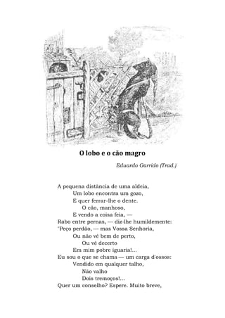 O lobo e o cão magro
Eduardo Garrido (Trad.)
A pequena distância de uma aldeia,
Um lobo encontra um gozo,
E quer ferrar-lhe o dente.
O cão, manhoso,
E vendo a coisa feia, —
Rabo entre pernas, — diz-lhe humildemente:
"Peço perdão, — mas Vossa Senhoria,
Ou não vê bem de perto,
Ou vê decerto
Em mim pobre iguaria!...
Eu sou o que se chama — um carga d'ossos:
Vendido em qualquer talho,
Não valho
Dois tremoços!...
Quer um conselho? Espere. Muito breve,
 