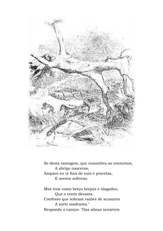 Se desta ramagem, que ensombra os contornos,
A abrigo nasceras,
Amparo eu te fora de suis e procelas,
E menos sofreras.
Mas tens como berço brejais e alagados,
Que o vento devasta.
Confesso que sobram razões de acusares
A sorte madrasta."
Responde o caniço: "Das almas sensíveis
 