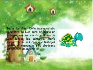 Todos los días  Doña María estaba pendiente de Luis para brindarle un tinto y conversar mientras el amo de Luis llenaba los cántaros. María preguntaba a Luis, ¿por qué trabajas tanto?, él respondía: sólo obedezco las órdenes de mi amo