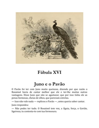 Fábula XVI
Juno e o Pavão
O Pavão foi ter com Juno muito queixoso, dizendo por que razão o
Rouxinol havia de cantar melhor que ele e ter-lhe muitas outras
vantagens. Disse Juno que não se agastasse; que por isso tinha ele as
penas formosas, cheias de olhos, que pareciam estrelas.
— Isso não vale nada — replicou o Pavão —, antes queria saber cantar.
Juno respondeu:
— Não podes ter tudo. O Rouxinol tem voz, a Águia, força, o Gavião,
ligeireza, tu contenta-te com tua formosura.
 