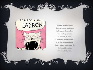 Topando armado otro día
A un perro gran bandolero,
Se le acercó el marrullero
Con cariño y cortesía:
“Camarada, le decía,
“Celebremos nuestra alianza”;
Y así fue: hiéranse chanza,
Baile y brandy, hasta que al fin
Cayó rendido Machín
Y se rascaba la panza.
 