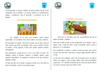 Así, Pedro siguió el consejo y disfrutó de sabrosos dulces. Desde ese día
comprendió que la ambición y la avaricia pueden ser verdaderamente
dañinas y prohibitivas para el desarrollo y crecimiento de un ser
humano.
Las Patas de un Elefante
Los animales de la selva que tomaban clases estaban
sorprendidos con la irrupción de un nuevo alumno en el aula: el elefante.
Era tan grande ese animal, sobre todo sus patas, que la mayor parte de
ellos creyeron que debía ser realmente torpe y que no podría ni escribir
su nombre. ¿Cómo agarraría el lápiz para escribir teniendo tamañas
extremidades?
Este pensamiento común provocó la risa y las burlas de todos. Sin
embargo, apenas el profesor comenzó su habitual dictado, todos
quedaron maravillados al comprobar la destreza con la que el elefante
manejaba el lápiz.
Se valía para ello de su trompa y demostró al final ser el más hábil de
todos los animales, a pesar de sus grandes patas.
La liebre y las ranas
Érase una vez una liebre que vivía apesadumbrada por ser un
animal tan tímido y miedoso.
Creía que le había tocado ser muy desgraciada, pues siempre, ante el
mínimo ruido o batir del viento, sentía un profundo temor y corría a
guarecerse en su madriguera.
Esta combinación de timidez y miedo la tenía muy harta, pero al final
no tenía valor para hacer nada más y el pesar seguía haciendo mella en
su vida.
Un día como otro cualquiera salió a dar un pequeño paseo, sin alejarse
mucho de su refugio, y ante un ruido extraño corrió como de costumbre
a guarecerse. Tal velocidad desarrolló que no se percató que iba directo
a un charco de ranas, hasta que al final lo pisó.
 