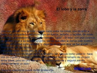 Una vez un lobo muy grande y fuerte nació entre los lobos, que excedió a todos sus compañeros del mismo tipo en fuerza, tamaño, y rapidez, de modo que ellos unánimemente decidieran llamarlo "León".  El lobo, con una carencia de sentido igual a su tamaño enorme, pensó que ellos le dieron este nombre por ser en verdad como un león, y, dejando su propia raza, se fue a vivir finalmente con los leones.  Una vieja zorra, viendo eso, le dijo,  --Es mi intención no llegar nunca a hacerme tan ridícula como usted lo  hace con su orgullo y vanidad; porque aunque usted tiene el tamaño de un león entre lobos, pero en una manada de leones usted es y seguirá siendo definitivamente un lobo.    Ninguna apariencia puede quitar la esencia El lobo y la zorra REGRESAR 