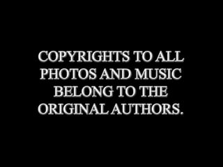 Fabulous fungi (v.m.)