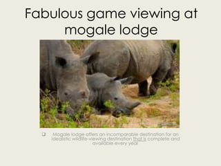 Fabulous game viewing at mogale lodge ,[object Object],[object Object]