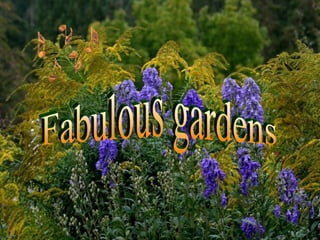 Fabulous gardens 