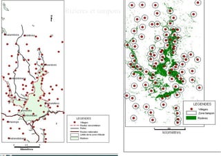 Rizières et tampons
 