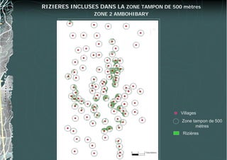 Rizières
Villages
Zone tampon de 500
mètres
N
RIZIERES INCLUSES DANS LA ZONE TAMPON DE 500 mètres
ZONE 2 AMBOHIBARY
 