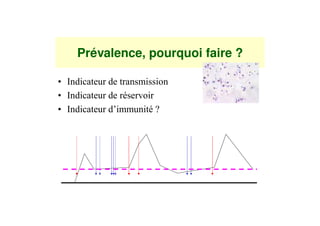 Prévalence, pourquoi faire ?
 