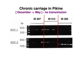 Chronic carriage in Pikine
[ December    May ] : no transmission

             ID 407    ID 512   ID 385
 
