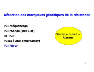 Detection des mutations au niveau des marqueurs génétiques de la résistance