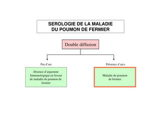 Double diffusion
Pas d’arc
Absence d’argument
Immunologique en faveur
de maladie du poumon de
fermier
Présence d’arcs
Maladie du poumon
de fermier
SEROLOGIE DE LA MALADIE
DU POUMON DE FERMIER
 