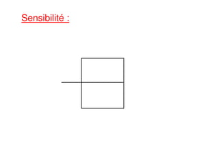 Sensibilité :
 