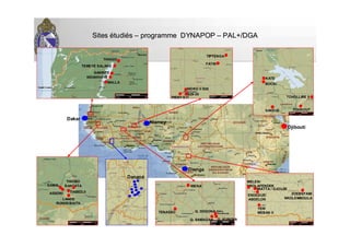 DananDananéé
NiameyNiamey
DakarDakar
DiengaDienga
DjiboutiDjibouti
THIAGOTHIAGO
TEMEYE SALANETEMEYE SALANE
SANINTESANINTE
NDIAKHAYENDIAKHAYE
MALLAMALLA
FATINFATIN
TIPTENGATIPTENGA
S29S29--3030
NIOKO II S26NIOKO II S26
PISSY S17PISSY S17
KATEKATE
YOUKOUTYOUKOUT
TCHOLLIRE IITCHOLLIRE II
SAKDJESAKDJE
BOCKIBOCKI
MELEN/MELEN/
NKOLAFENDEKNKOLAFENDEK
MIATTA / DJOUZEMIATTA / DJOUZE
ENDEGUE/ENDEGUE/
ABDELONABDELON
ZOEBEFAM/ZOEBEFAM/
NKOLEMBOULANKOLEMBOULA
YEN/YEN/
MEBAN IIMEBAN II
NIENANIENA
TENASSOTENASSO
Q. SAMAGANQ. SAMAGAN
Q. DOGONAQ. DOGONA
Q. KUINIMAQ. KUINIMA
TIABEDJITIABEDJI
LANDELANDE
RUNDE/BAITILRUNDE/BAITIL
SAMALSAMAL
THIOBOTHIOBO
BANTATABANTATA
ASSONIASSONI
SitesSites éétuditudiééss –– programme DYNAPOPprogramme DYNAPOP –– PAL+/DGAPAL+/DGA
 